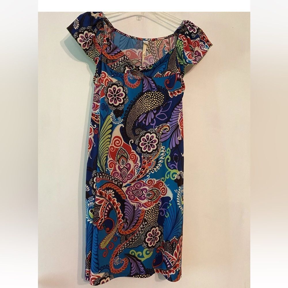 Uncle Frank large dress‎